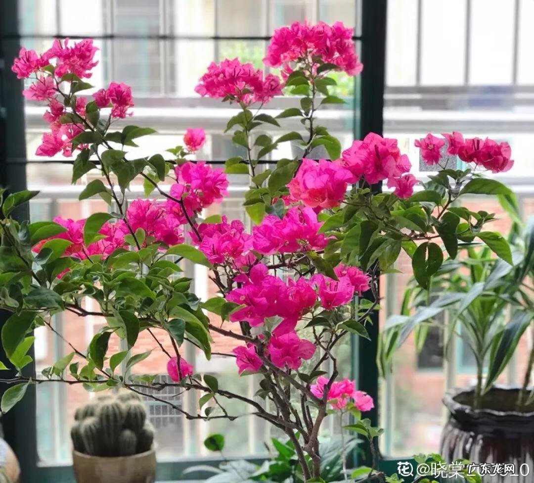 歌曲小三你好贱的歌词 小三你好贱歌词下载中文