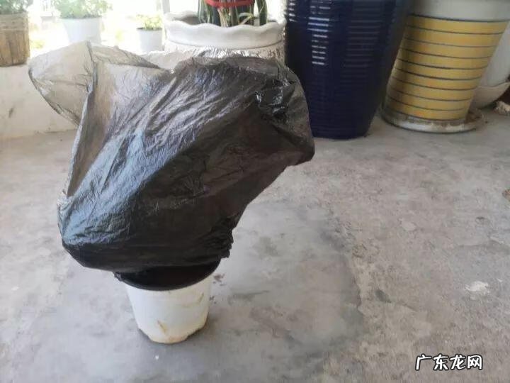 歌曲小三你好贱的歌词 小三你好贱歌词下载中文