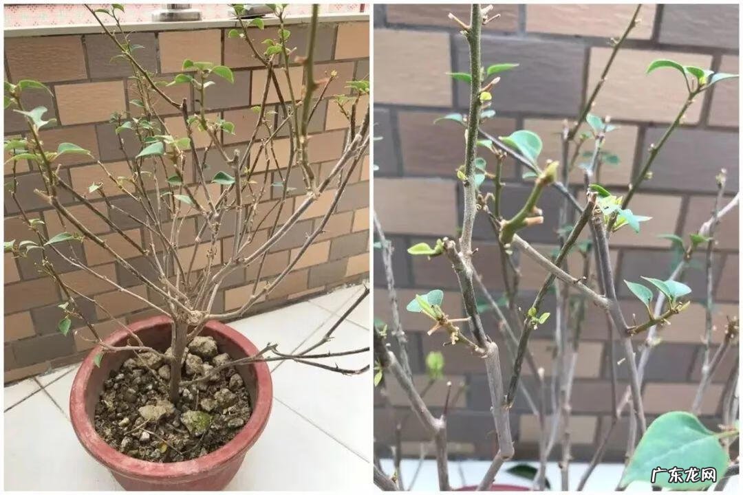 歌曲小三你好贱的歌词 小三你好贱歌词下载中文