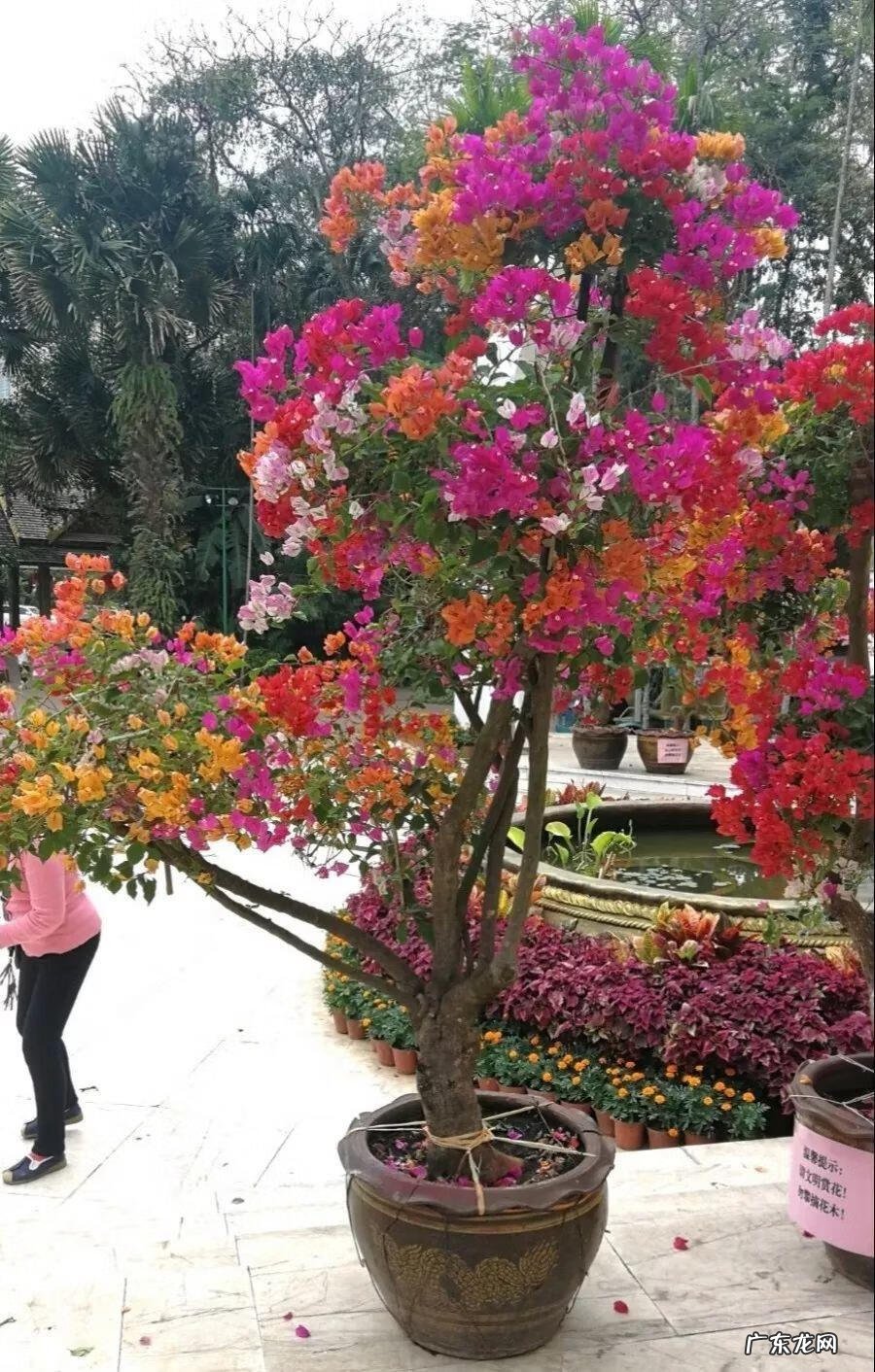 歌曲小三你好贱的歌词 小三你好贱歌词下载中文