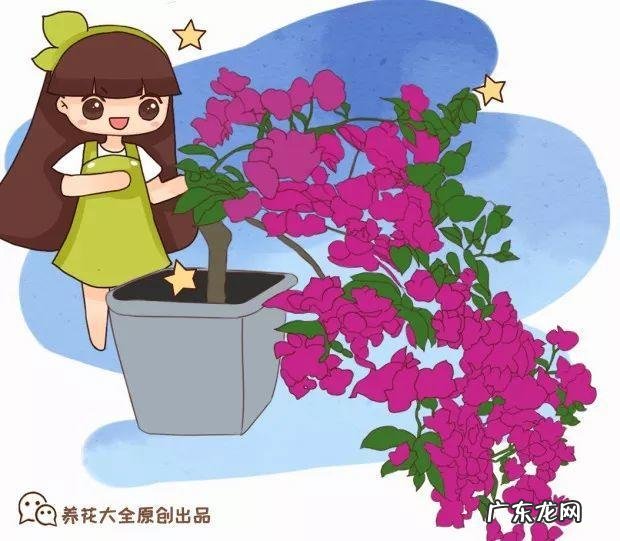 歌曲小三你好贱的歌词 小三你好贱歌词下载中文