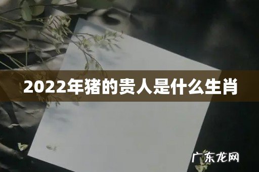 2022年猪的贵人是什么生肖