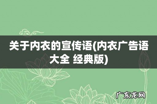 内衣广告语大全 经典版 关于内衣的宣传语
