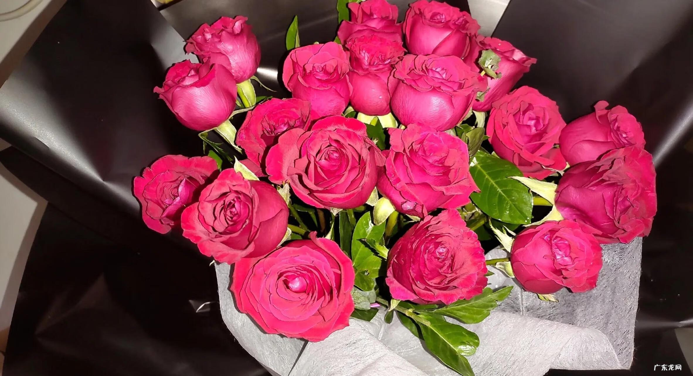 情人节的日子 我的情人节礼物