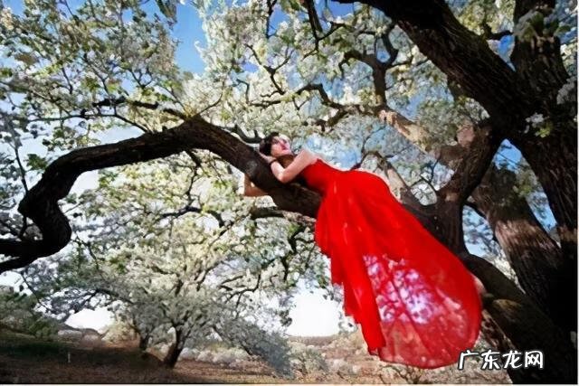 铁岭风水宝地 兴城风水宝地在哪