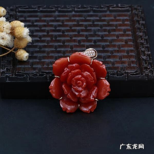 珊瑚的风水作用 珊瑚树风水