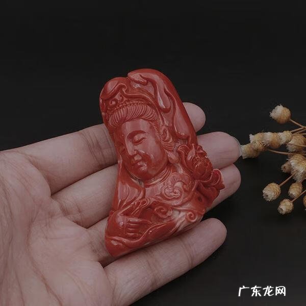 珊瑚的风水作用 珊瑚树风水