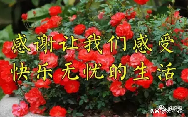 11月22日感恩节是什么节日