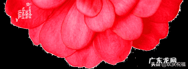 11月22日感恩节是什么节日