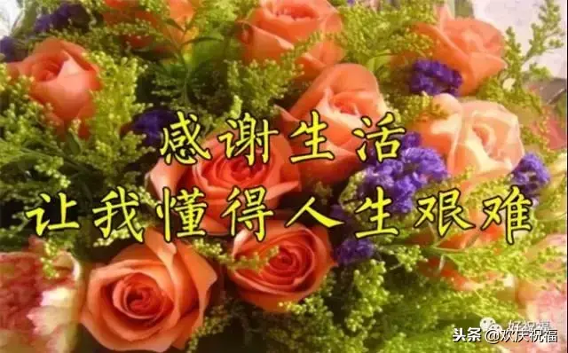 11月22日感恩节是什么节日