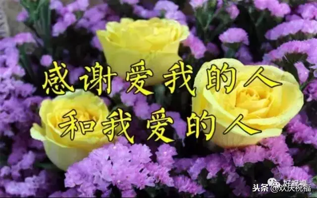 11月22日感恩节是什么节日
