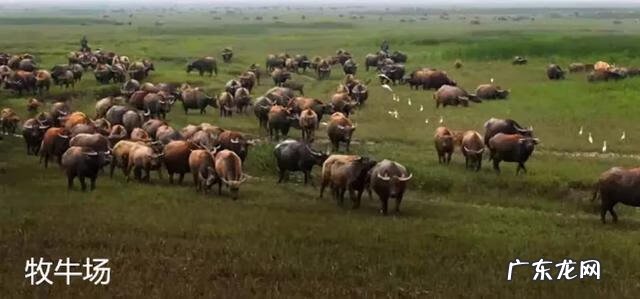 中华易经风水研究院院长 张金华世界易经风水研究院院长