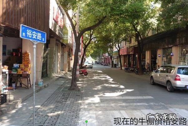 中华易经风水研究院院长 张金华世界易经风水研究院院长