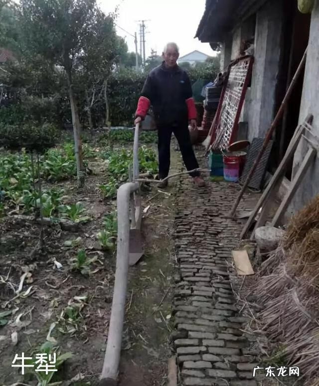 中华易经风水研究院院长 张金华世界易经风水研究院院长