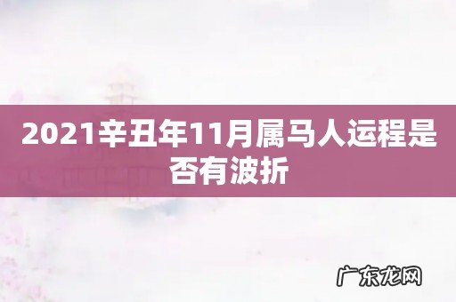 2021辛丑年11月属马人运程是否有波折