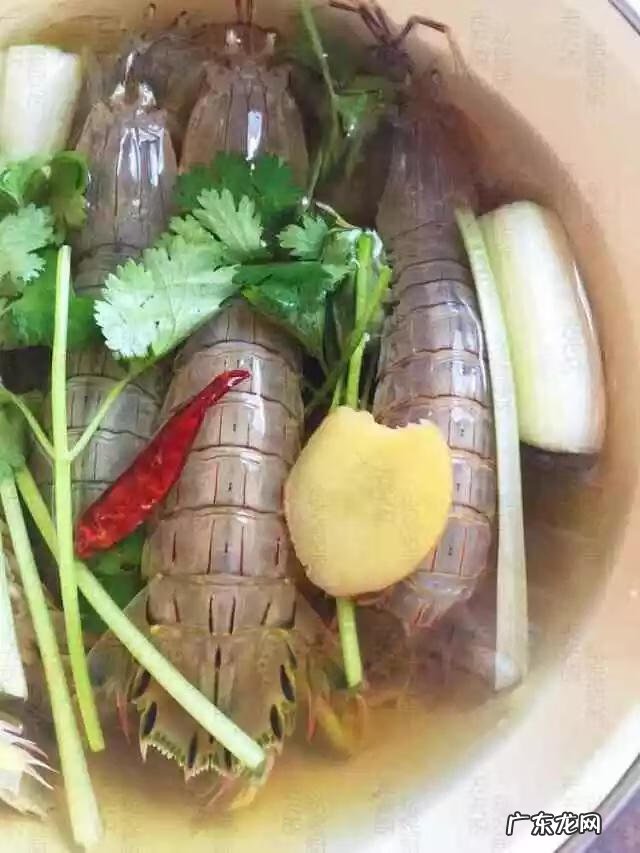 蒜蓉皮皮虾的做法 皮皮虾的做法大全