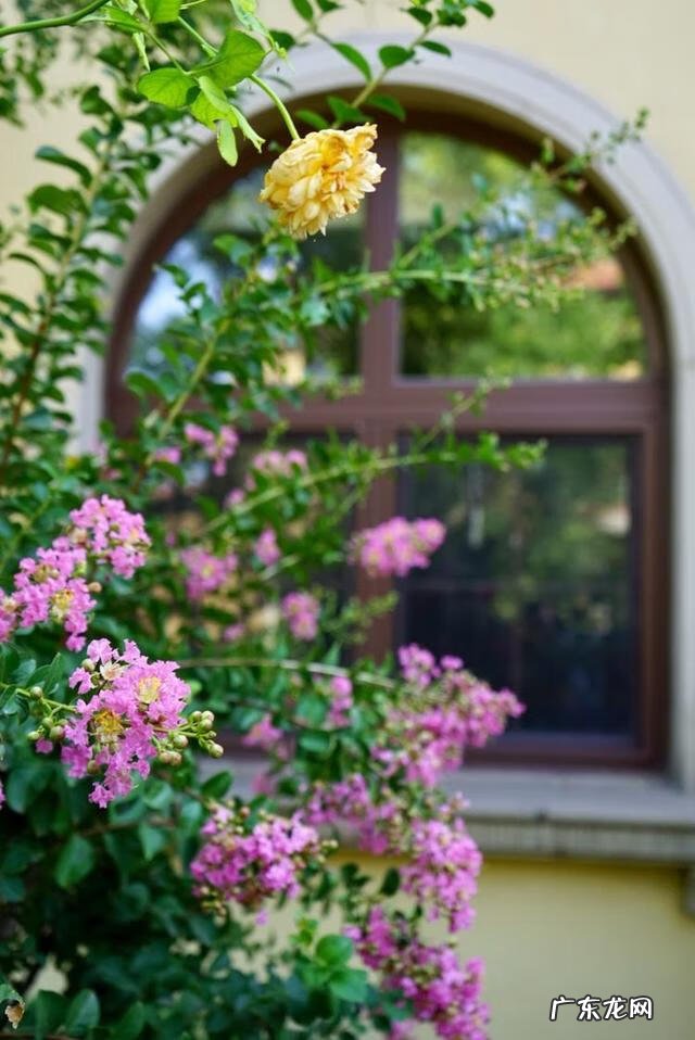 共墙联排别墅如何看风水 联排别墅西边户好不好