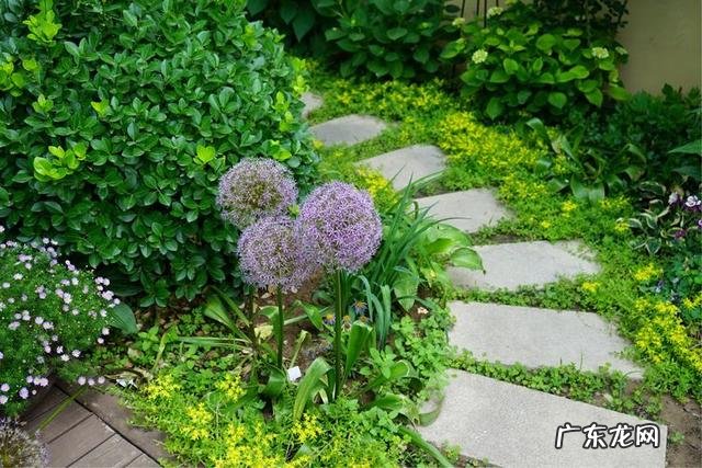 共墙联排别墅如何看风水 联排别墅西边户好不好