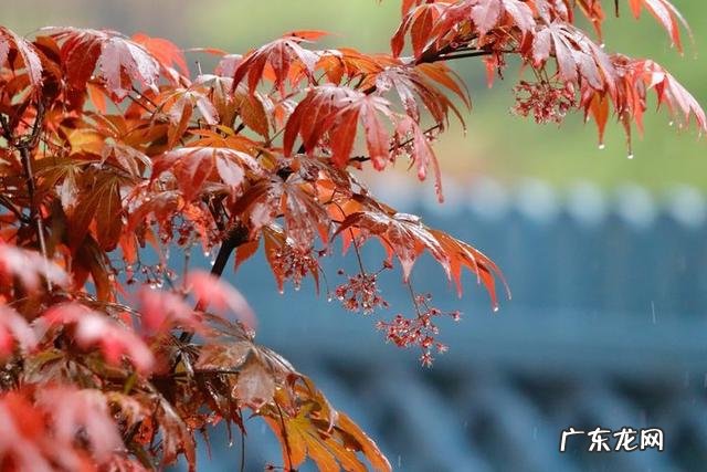 共墙联排别墅如何看风水 联排别墅西边户好不好