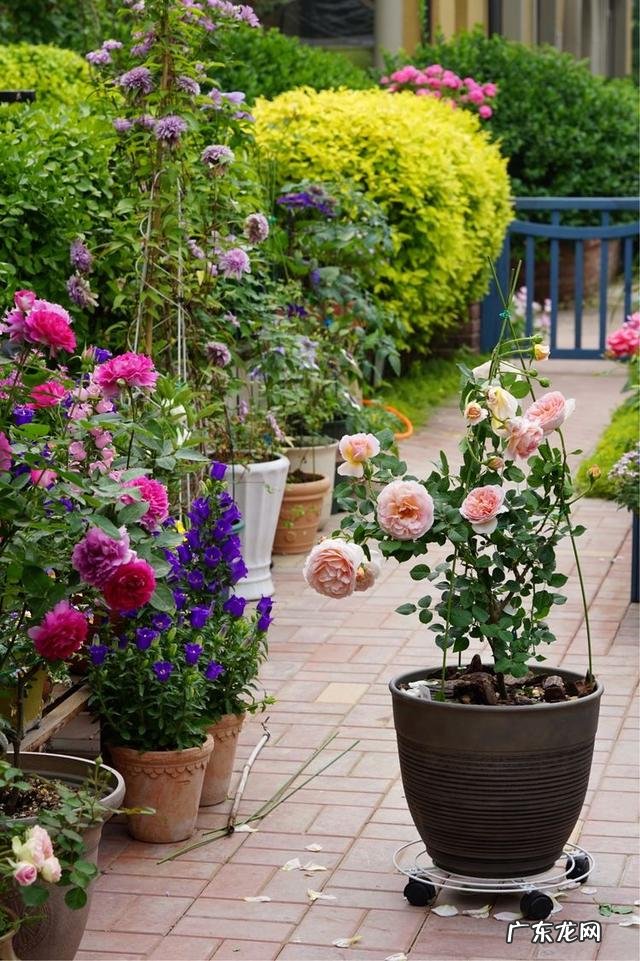 共墙联排别墅如何看风水 联排别墅西边户好不好