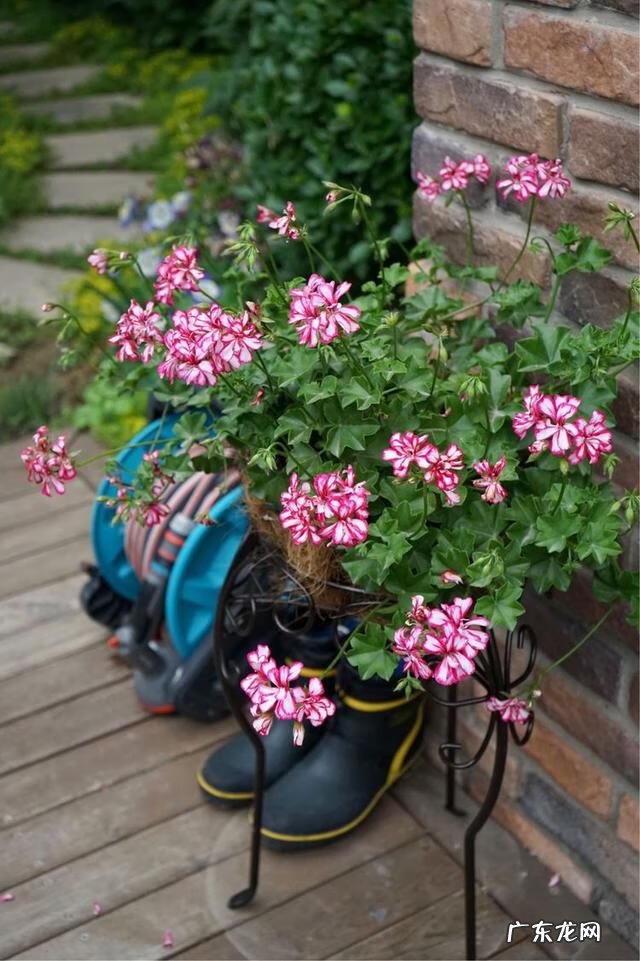 共墙联排别墅如何看风水 联排别墅西边户好不好