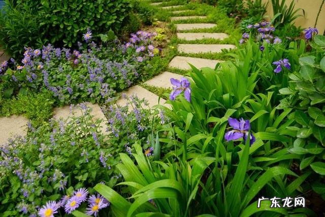 共墙联排别墅如何看风水 联排别墅西边户好不好