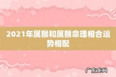 2021年属猴和属猴命理相合运势相配