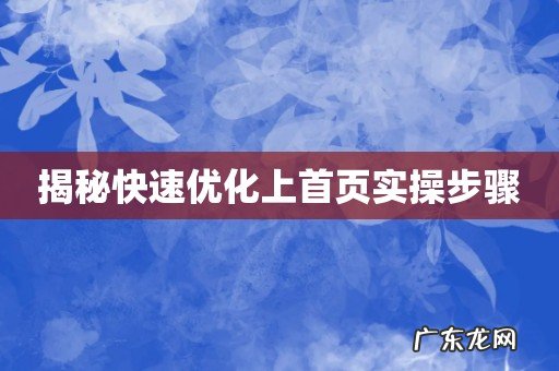 揭秘快速优化上首页实操步骤