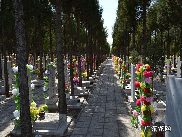 三山陵园管理处电话 三台风水陵园联系人电话