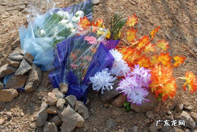 海葬流程 海葬从风水学上有什么说法