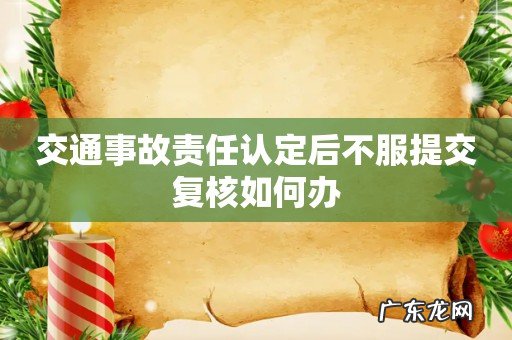 交通事故责任认定后不服提交复核如何办