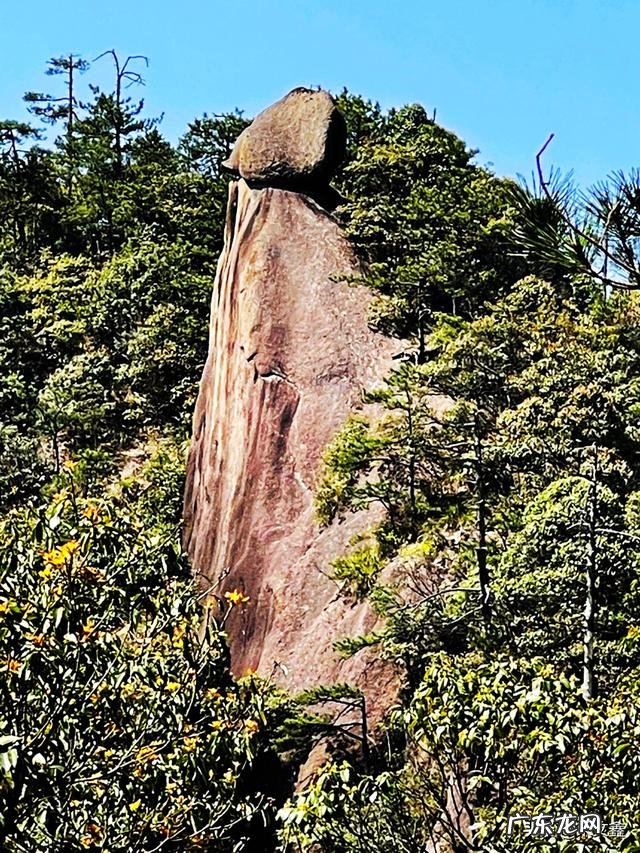 农村风水宝地图片 神龟望月风水宝地图片