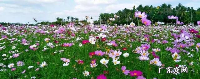 风水常识 风水角度看2022肺炎