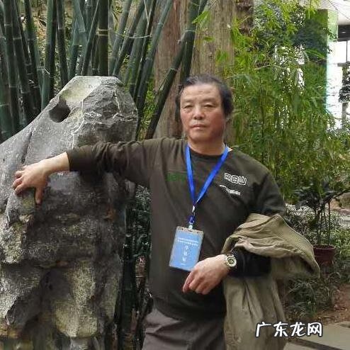 鹰地的风水特征 展翅的雄鹰风水