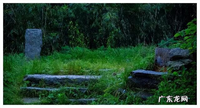 放在墓碑上的花叫什么 风水墓碑前放什么植物好