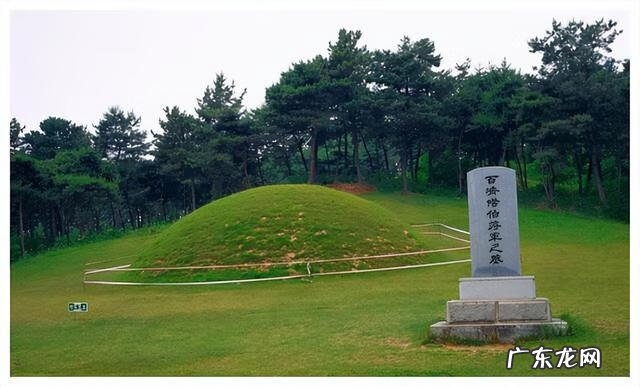 放在墓碑上的花叫什么 风水墓碑前放什么植物好