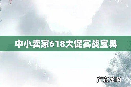 中小卖家618大促实战宝典