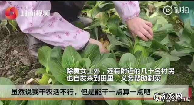 博乐什么意思 博乐居家风水口诀