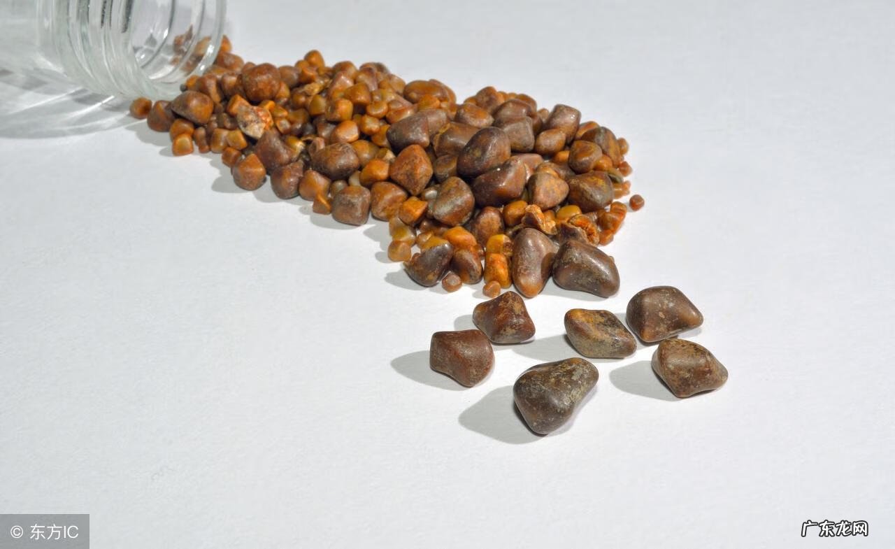 胆结石的病人吃什么