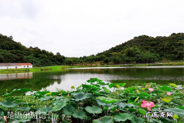 湖光山色怎么样 湖光山色位置