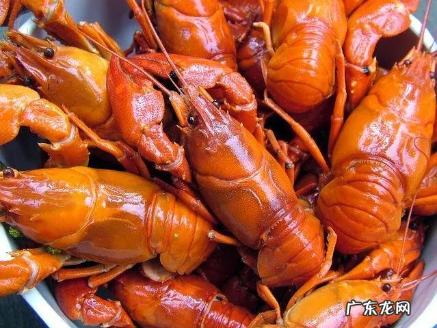 100种食物相克大全 食物相克大全表