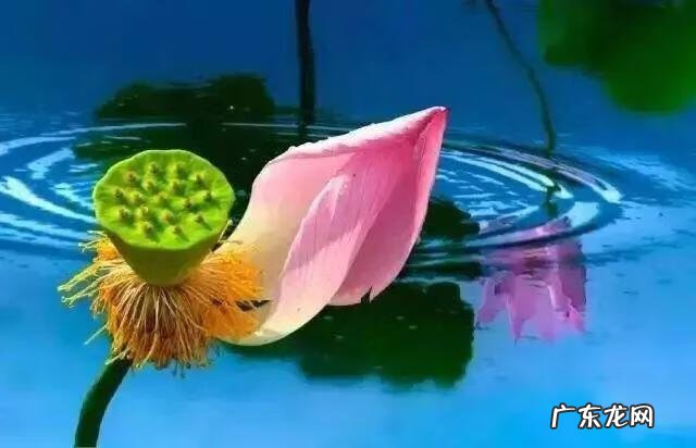 世间最大的风水是人心 人心是最大的风水的故事