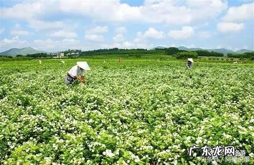 横县各乡镇风水留题图 横县九秋落洞