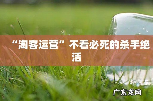 “淘客运营”不看必死的杀手绝活