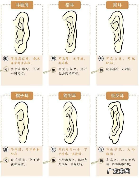 耳朵长出长毛的风水 耳朵长毛风水上怎么说