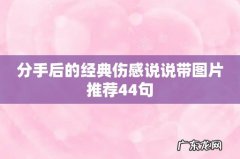 分手后的经典伤感说说带图片推荐44句