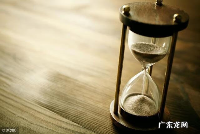 办公室有蚂蚁代表什么风水 蚂蚁集团大楼风水好吗