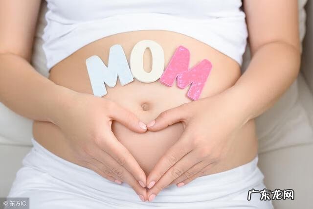 办公室有蚂蚁代表什么风水 蚂蚁集团大楼风水好吗