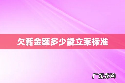 欠薪金额多少能立案标准