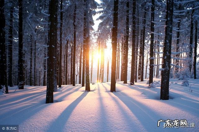 抓螃蟹是什么意思 老板抓螃蟹和鸡的风水寓意